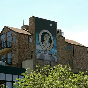 The Historic Blue Moon - Nyc Нью-Йорк